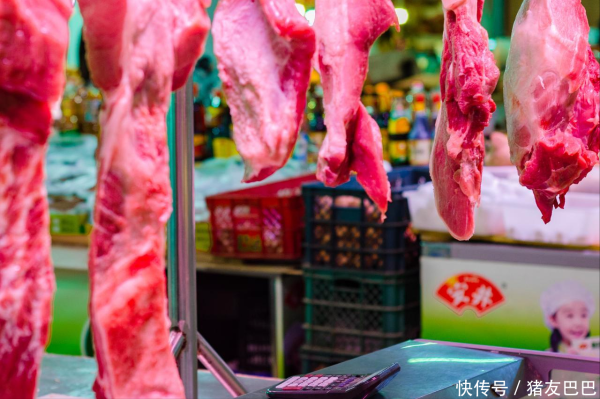 猪价破5入4，跌回“解放前”，猪肉降入“个位价”！接下来会如何