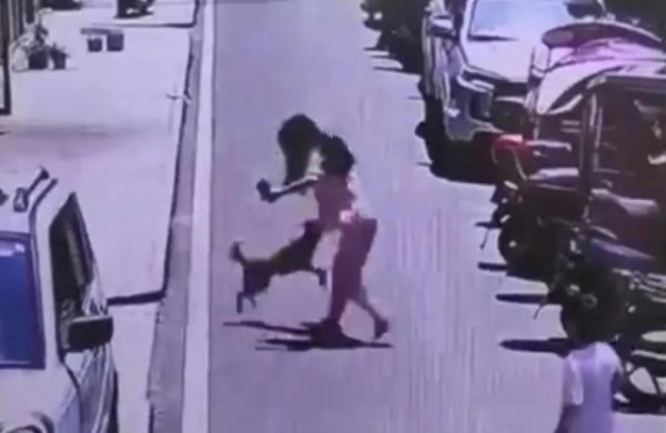 犬只扑咬多名孩童，其中一女童脸部被咬，警方回应