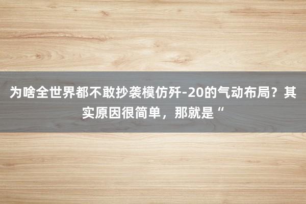 为啥全世界都不敢抄袭模仿歼-20的气动布局？其实原因很简单，那就是“