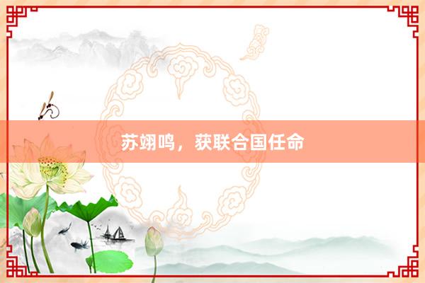 苏翊鸣，获联合国任命
