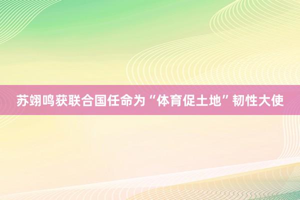 苏翊鸣获联合国任命为“体育促土地”韧性大使