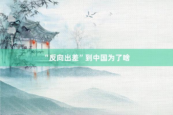 “反向出差”到中国为了啥