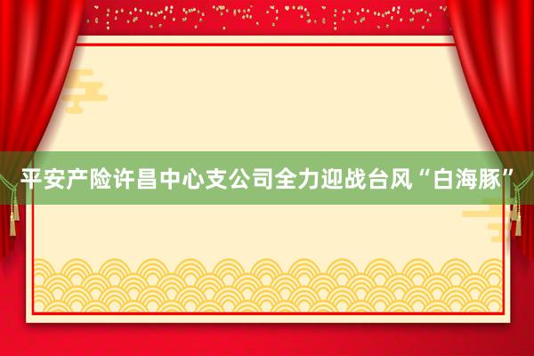 平安产险许昌中心支公司全力迎战台风“白海豚”