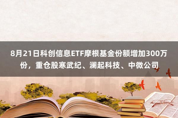 8月21日科创信息ETF摩根基金份额增加300万份，重仓股寒武纪、澜起科技、中微公司