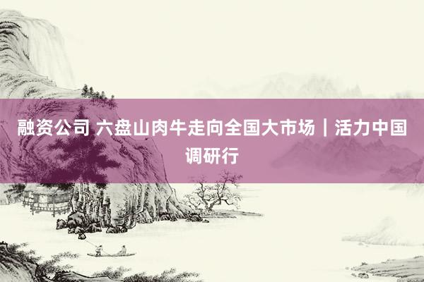融资公司 六盘山肉牛走向全国大市场｜活力中国调研行