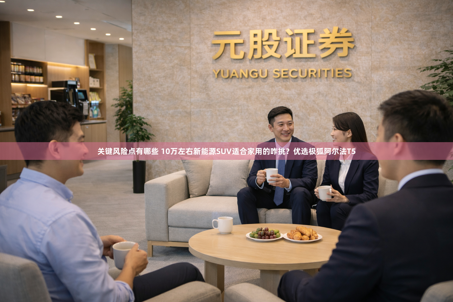 关键风险点有哪些 10万左右新能源SUV适合家用的咋挑？优选极狐阿尔法T5