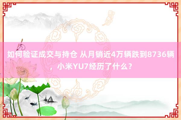 如何验证成交与持仓 从月销近4万辆跌到8736辆，小米YU7经历了什么？