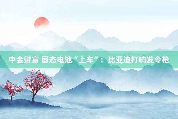 中金财富 固态电池“上车”：比亚迪打响发令枪
