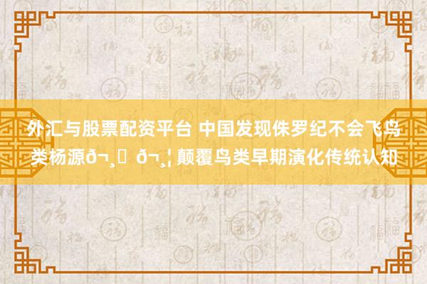 外汇与股票配资平台 中国发现侏罗纪不会飞鸟类杨源𬸚𬸦 颠覆鸟类早期演化传统认知
