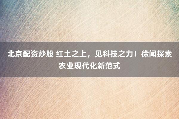 北京配资炒股 红土之上，见科技之力！徐闻探索农业现代化新范式