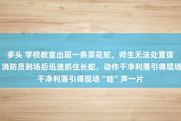 多头 学校教室出现一条菜花蛇，师生无法处置拨打119求助，消防员到场后迅速抓住长蛇，动作干净利落引得现场“哇”声一片