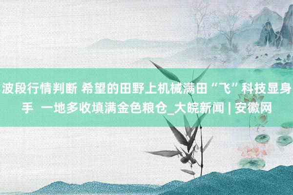 波段行情判断 希望的田野上机械满田“飞”科技显身手  一地多收填满金色粮仓_大皖新闻 | 安徽网